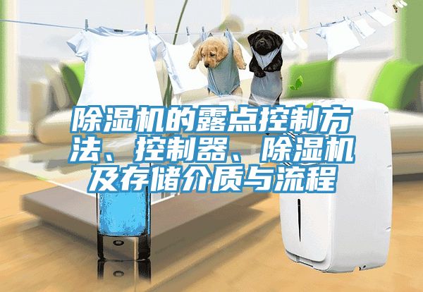 除濕機(jī)的露點(diǎn)控制方法、控制器、除濕機(jī)及存儲(chǔ)介質(zhì)與流程