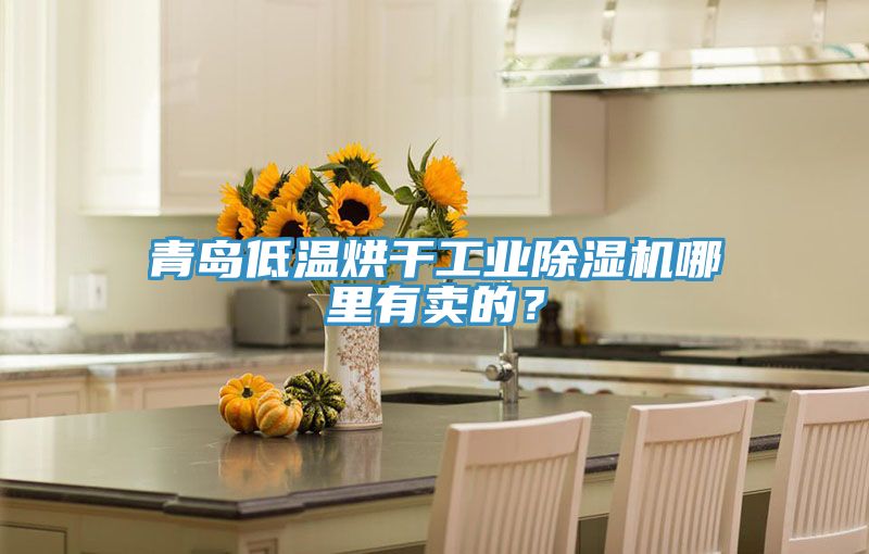青島低溫烘干工業(yè)除濕機(jī)哪里有賣的？