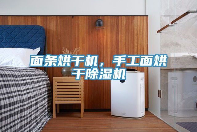 面條烘干機(jī)，手工面烘干除濕機(jī)