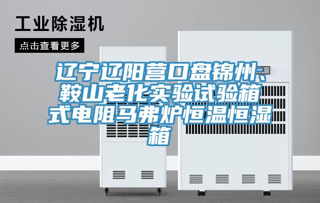 遼寧遼陽營口盤錦州、鞍山老化實(shí)驗(yàn)試驗(yàn)箱式電阻馬弗爐恒溫恒濕箱