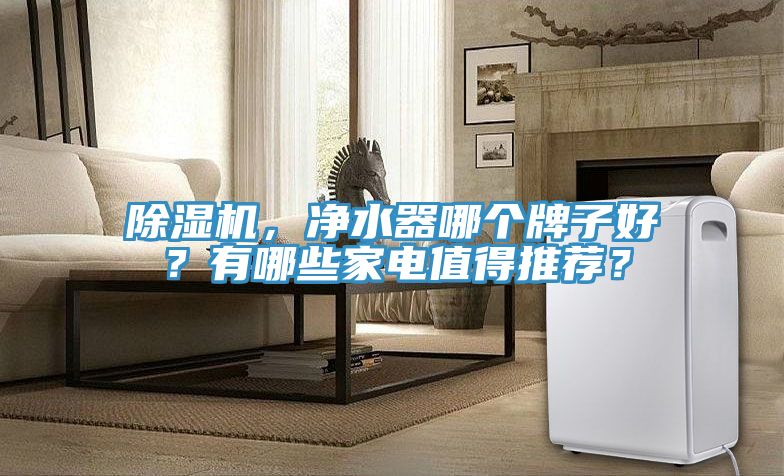 除濕機，凈水器哪個牌子好？有哪些家電值得推薦？