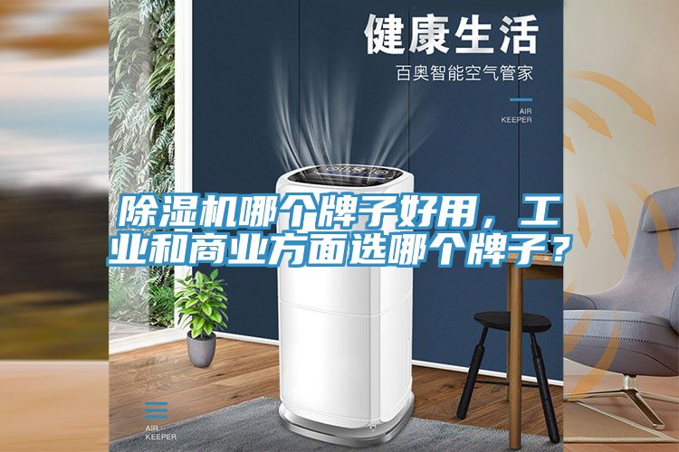 除濕機(jī)哪個(gè)牌子好用，工業(yè)和商業(yè)方面選哪個(gè)牌子？