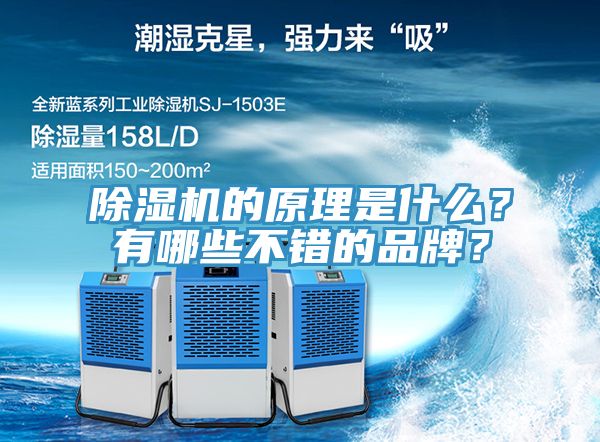 除濕機的原理是什么？有哪些不錯的品牌？