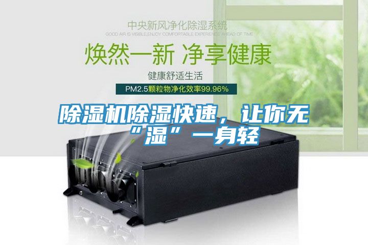 除濕機(jī)除濕快速，讓你無“濕”一身輕