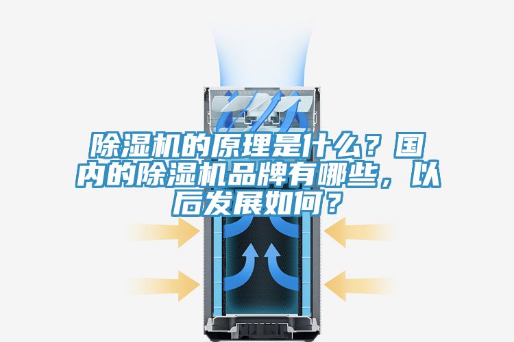 除濕機的原理是什么？國內(nèi)的除濕機品牌有哪些，以后發(fā)展如何？