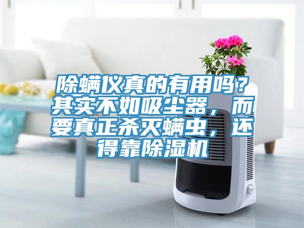 除螨儀真的有用嗎？其實(shí)不如吸塵器，而要真正殺滅螨蟲，還得靠除濕機(jī)