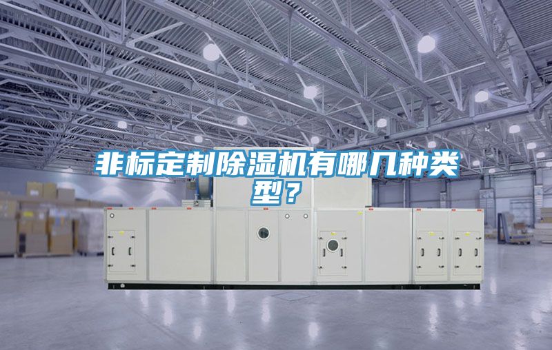 非標(biāo)定制除濕機(jī)有哪幾種類型？