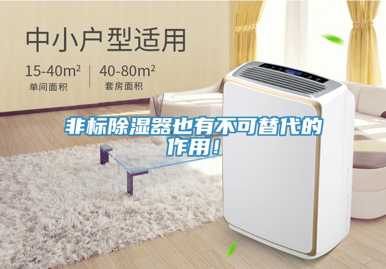 非標(biāo)除濕器也有不可替代的作用！