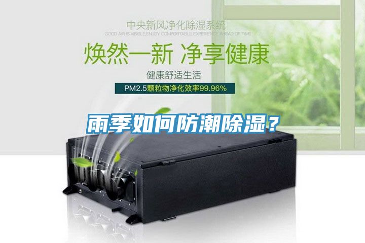 雨季如何防潮除濕？