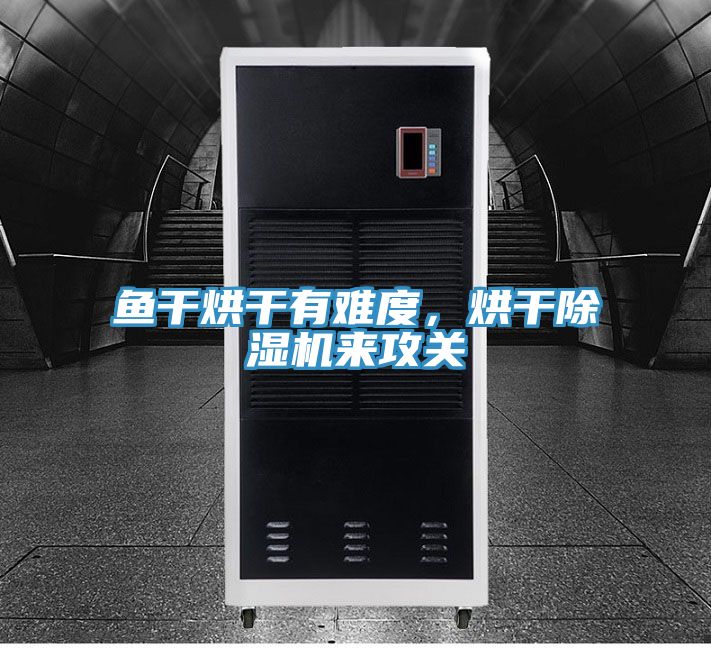 魚干烘干有難度，烘干除濕機來攻關(guān)