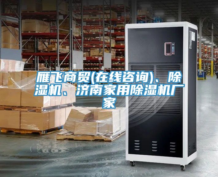 雁飛商貿(mào)(在線咨詢)、除濕機(jī)、濟(jì)南家用除濕機(jī)廠家