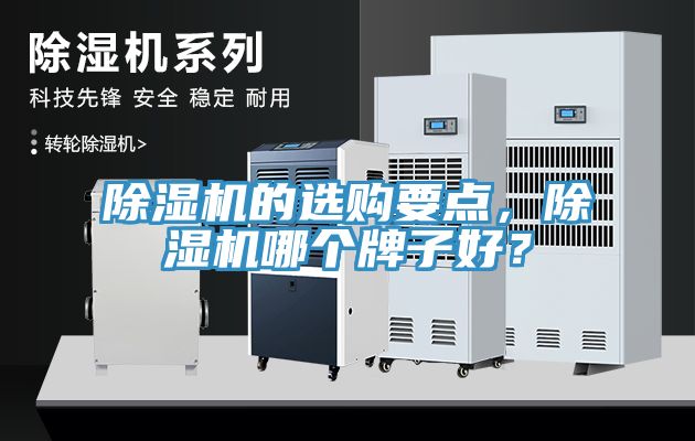 除濕機(jī)的選購(gòu)要點(diǎn)，除濕機(jī)哪個(gè)牌子好？