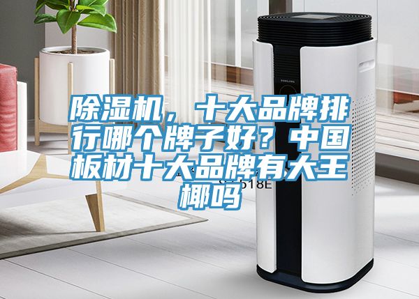 除濕機，十大品牌排行哪個牌子好？中國板材十大品牌有大王椰嗎
