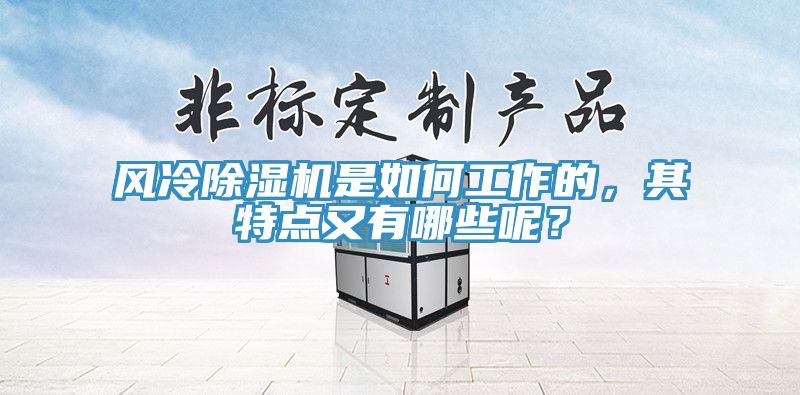 風(fēng)冷除濕機是如何工作的，其特點又有哪些呢？