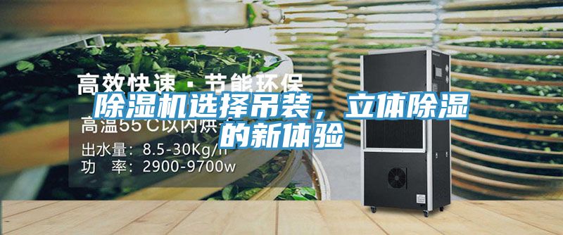 除濕機(jī)選擇吊裝，立體除濕的新體驗(yàn)