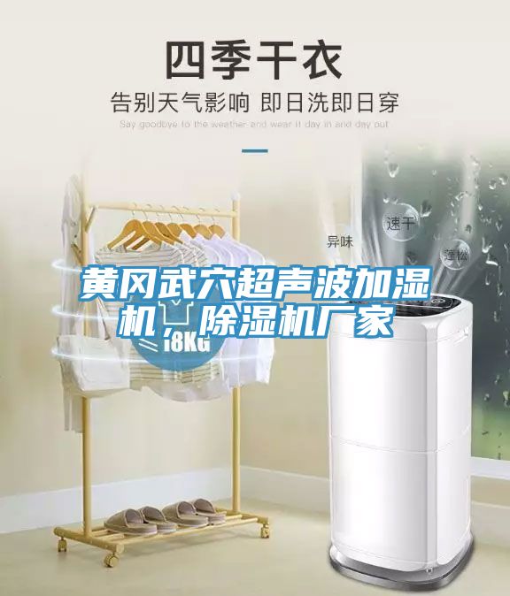 黃岡武穴超聲波加濕機(jī)，除濕機(jī)廠家