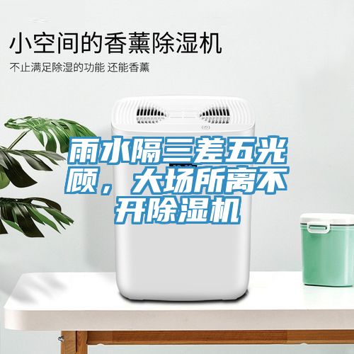 雨水隔三差五光顧，大場所離不開除濕機