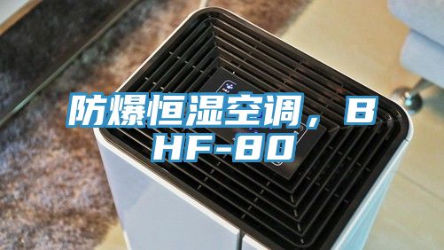 防爆恒濕空調(diào)，BHF-80