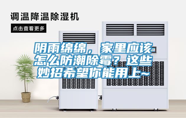 陰雨綿綿，家里應該怎么防潮除霉？這些妙招希望你能用上~