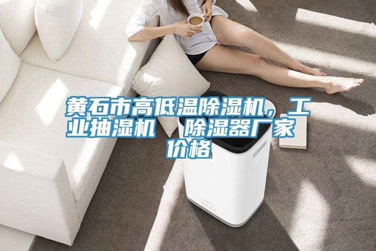 黃石市高低溫除濕機，工業(yè)抽濕機  除濕器廠家 價格