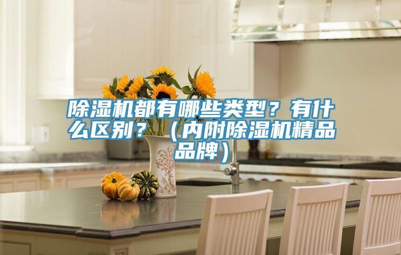 除濕機(jī)都有哪些類型？有什么區(qū)別？（內(nèi)附除濕機(jī)精品品牌）