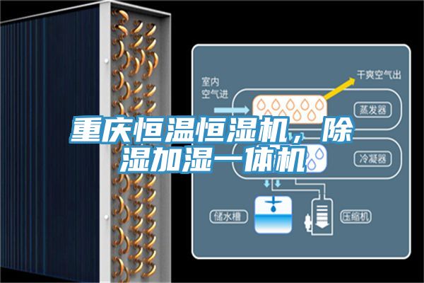 重慶恒溫恒濕機(jī)，除濕加濕一體機(jī)