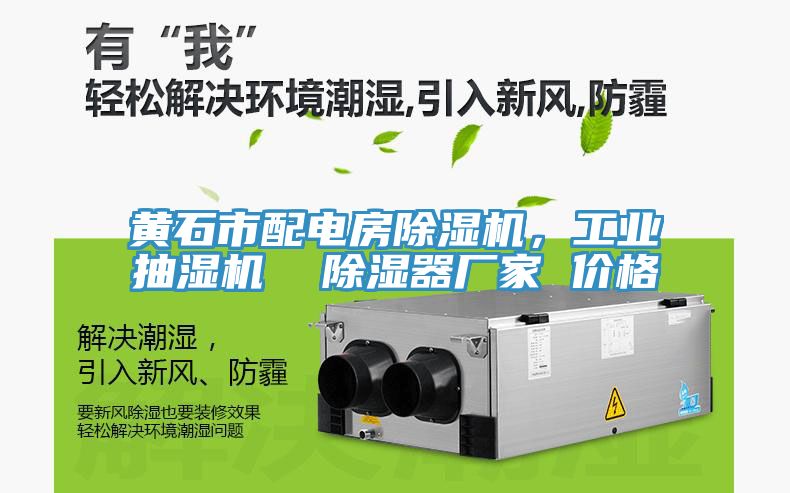 黃石市配電房除濕機(jī)，工業(yè)抽濕機(jī)  除濕器廠家 價(jià)格