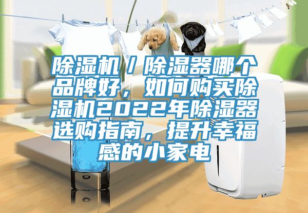 除濕機(jī)／除濕器哪個(gè)品牌好，如何購(gòu)買除濕機(jī)2022年除濕器選購(gòu)指南，提升幸福感的小家電