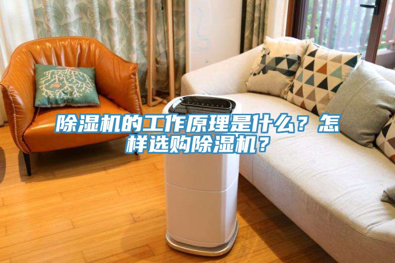 除濕機(jī)的工作原理是什么？怎樣選購(gòu)除濕機(jī)？