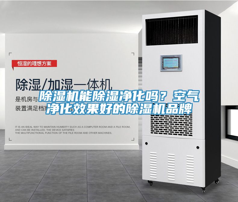 除濕機能除濕凈化嗎？空氣凈化效果好的除濕機品牌