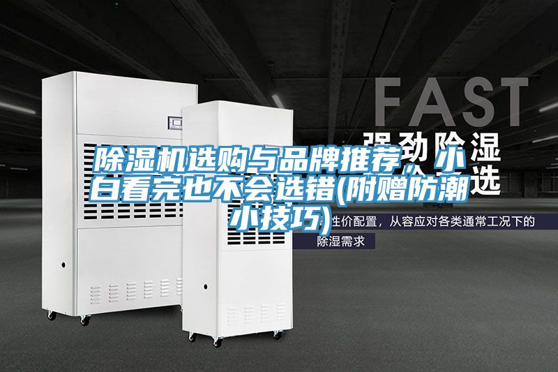 除濕機(jī)選購(gòu)與品牌推薦，小白看完也不會(huì)選錯(cuò)(附贈(zèng)防潮小技巧)