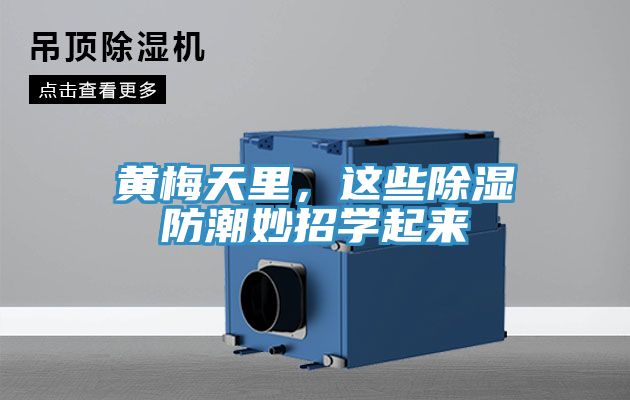 黃梅天里，這些除濕防潮妙招學(xué)起來