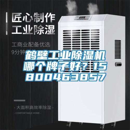 鶴壁工業(yè)除濕機(jī)哪個(gè)牌子好？15800463857